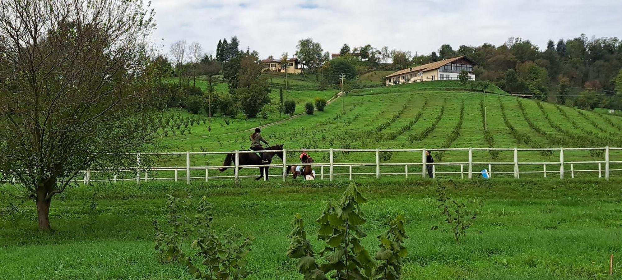 アルフィアーノ・ナッタ Cascina Fazioliヴィラ エクステリア 写真